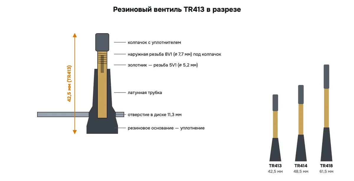 Резиновый вентиль TR413 в разрезе: корпус в отверстии диска 11,3 мм, латунная трубка, золотник с резьбой 5V1, наружная резьба 8V1 под колпачок, высота 42,5 мм