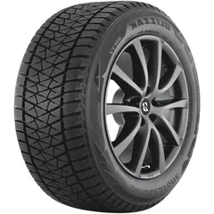Bridgestone Blizzak DM-V2