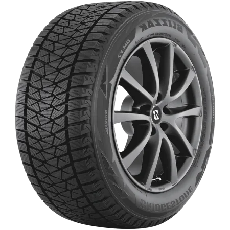 Шина Bridgestone Blizzak DM-V2