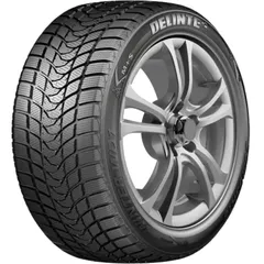 Шина Delinte Winter WD1