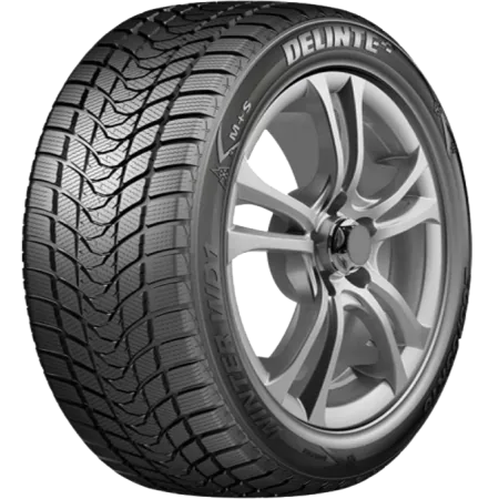 Шина Delinte Winter WD1