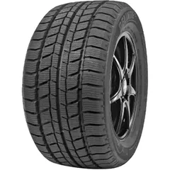 Шина Delinte Winter WD2