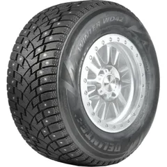 Шина Delinte Winter WD42