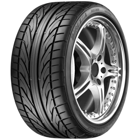 Шина Dunlop Direzza DZ101