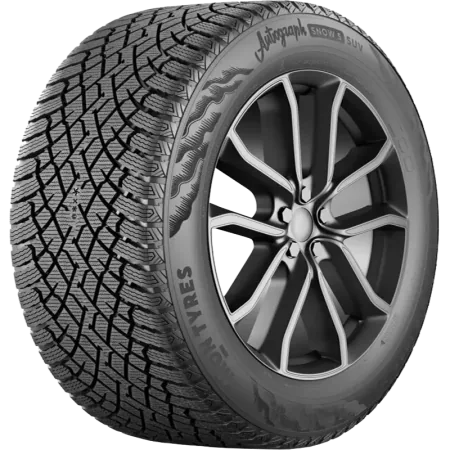 Шина Ikon Tyres Autograph Snow 5 SUV