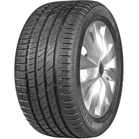 Шина Ikon Tyres Character Eco