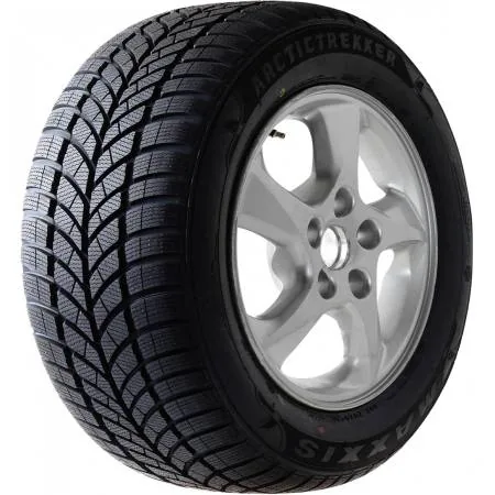 Шина Maxxis WP-05 Arctic Trekker