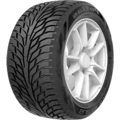 Шина Petlas Explero Ice W681