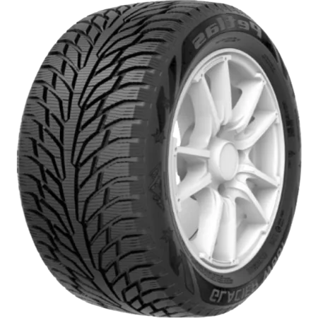 Шина Petlas Explero Ice W681