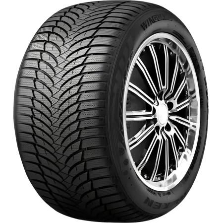 Шина Roadstone Winguard Snow G WH2