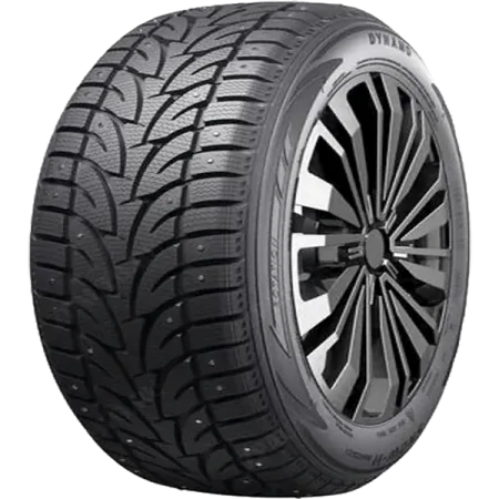 Шина RoadX Frost WCS01