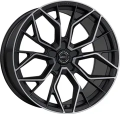 BMW B317, фото 2